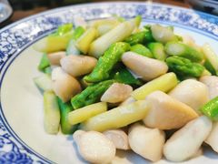 芦笋鲜菱-兰边碗(鼓楼店)
