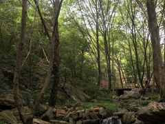-木兰云雾山