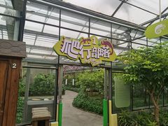 -南宫五洲植物乐园