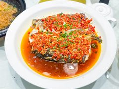 -潇湘甲鱼村(清河店)