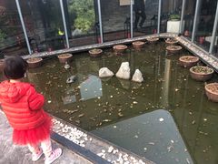 -小河盐帮·私家菜·烤鸭(三元桥·霄云路店)