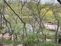 -大连植物园