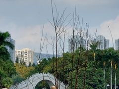 -荔枝公园(福田区)