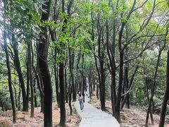 -火炉山森林公园