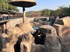 -石家庄市动物园