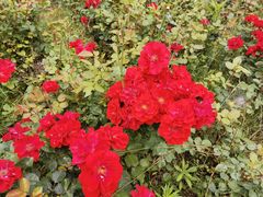 -镇坪县曙坪小学