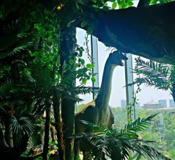 -恐龙探索乐园(磁器口店)