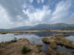 -腾冲北海湿地