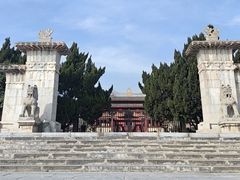 -洛阳古墓博物馆