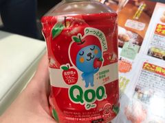 -飞天翼龙