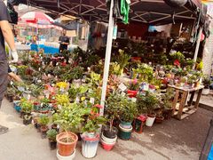 -哈尔滨道外花鸟鱼市场