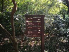 -杭州黄龙洞