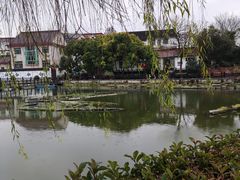 -金山嘴渔村