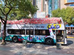 -BUS TOUR观光巴士