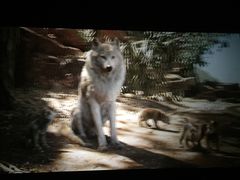 -大商影城(新玛特店)