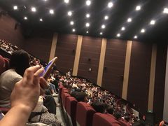 -首都电影院(天津店 中国巨幕)