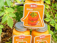 -野萃山·潮汕厚果汁(十亩地店)
