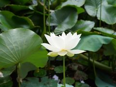 -北京动物园-畅观楼