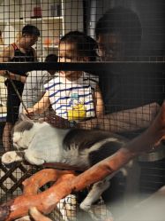 -酷嗒动物文化乐园(cutezoo西溪乐天城店)