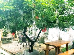 -微饮cafe