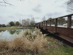 -九里河湿地公园