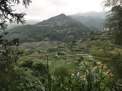 -杨家堂村