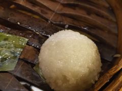 茨毛圆子-双塔老饭店