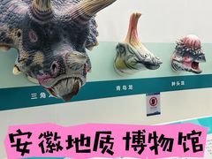 -安徽省地质博物馆
