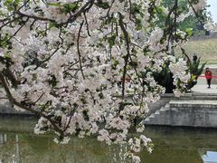 -海棠花溪(元大都城垣遗址公园)