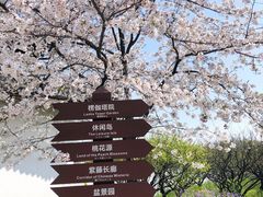 -苏州上方山国家森林公园
