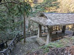 -花溪风景区