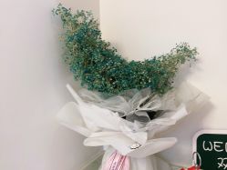 点击看大图 -WENDY·温迪皮肤管理