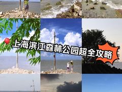-上海滨江森林公园