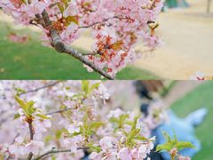 -上海辰山植物园