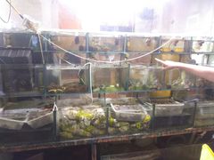 -来之顺海鲜菜馆·青岛菜(栈桥店)