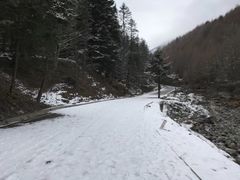 -硗碛藏寨·神木垒景区