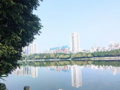 -南宁南湖公园