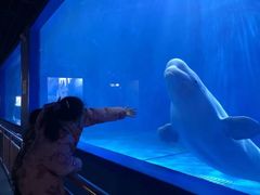 -多彩贵州城极地海洋世界