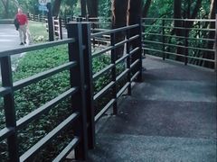 -广州市帽峰山景区