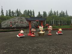 -上海海湾国家森林公园