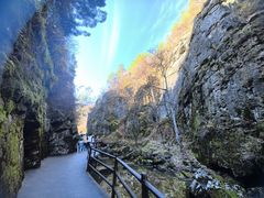 -茅兰沟国家森林公园
