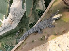 -石家庄市动物园