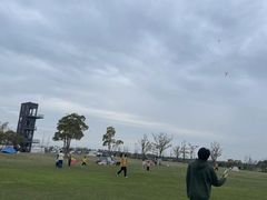 -春花秋色城市公园