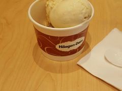 -哈根达斯(西安高新店)
