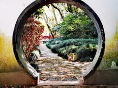 -上海醉白池公园