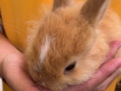 -龙猫仔乐园(惠福东路店)