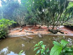 -海南热带野生动植物园