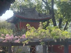 -红螺寺