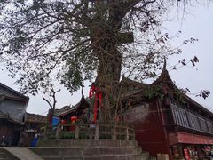 -黄龙溪古镇