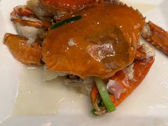 -碧丽宫大酒店(召稼楼店)